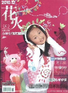 花火·小学生作文辅导C版杂志