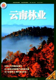 云南林业