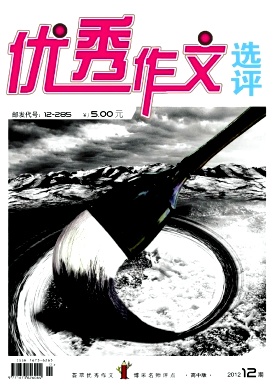 优秀作文选评